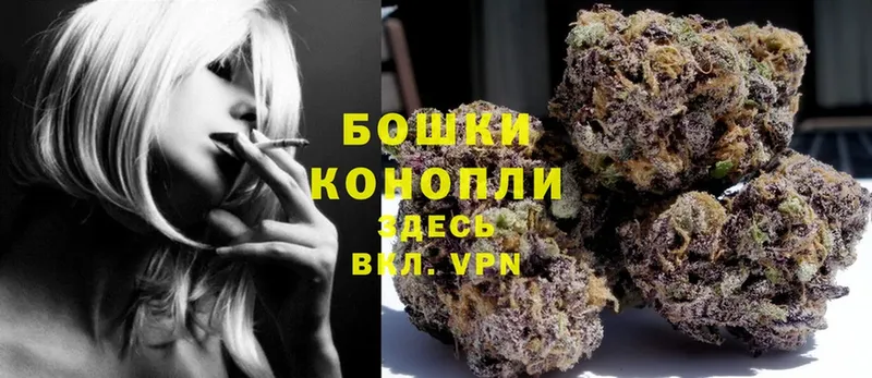 Бошки Шишки THC 21%  где продают   Лагань 